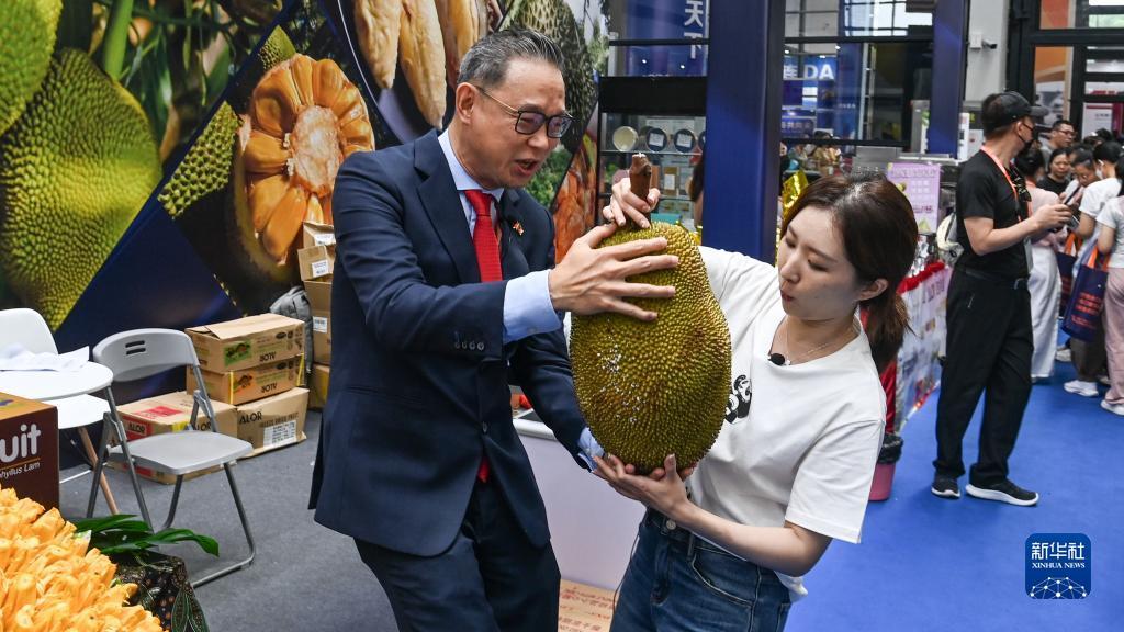 约朋棋牌6
